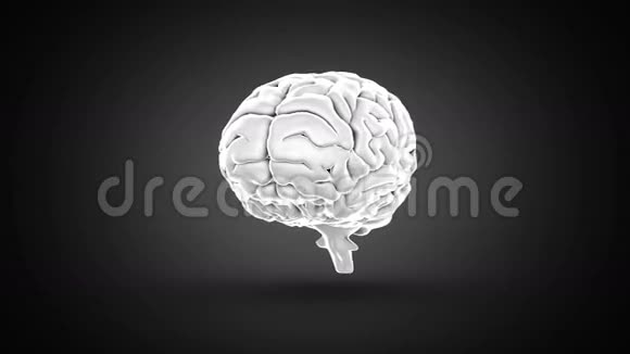 大脑在黑色背景上旋转视频的预览图