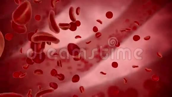 红细胞人体内的生物体视频的预览图