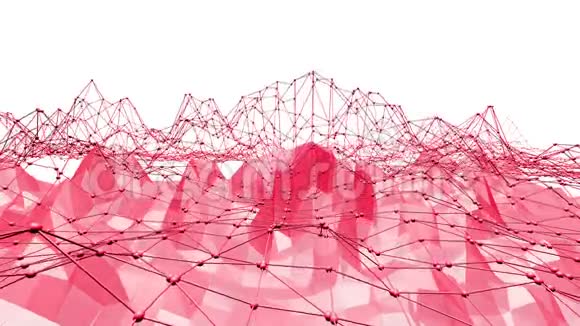 玫瑰色或粉红色低聚振荡表面作为几何网格多边形镶嵌红色振动环境或脉动视频的预览图