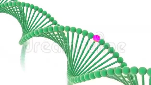 DNA基因视频的预览图