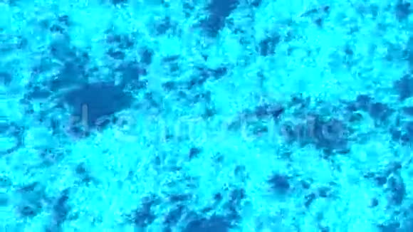 美丽的水面视频的预览图