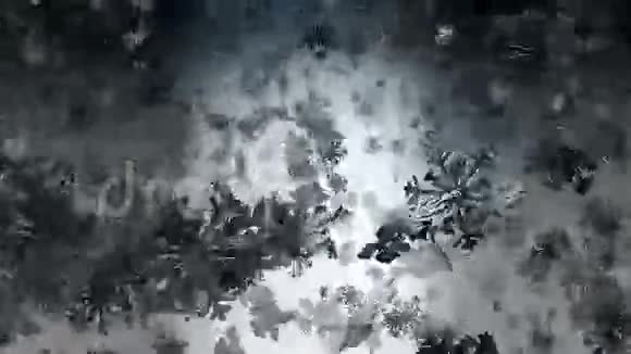 在黑暗中飞舞的雪花视频的预览图