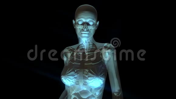 人类解剖学D3动画视频的预览图