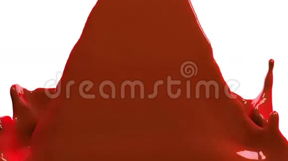 橙色油漆填充屏幕隔离在白色全高清与阿尔法通道视频的预览图