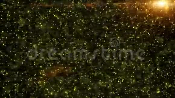 金尘环颗粒无缝视频的预览图