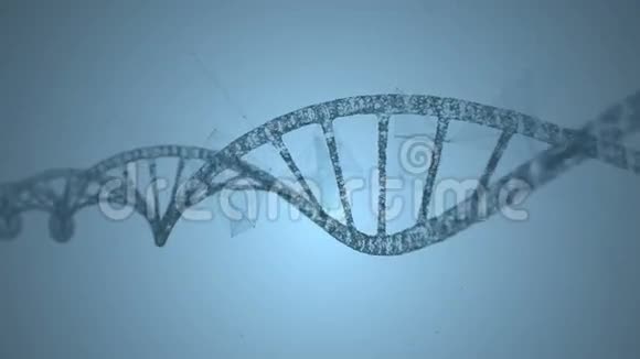 DNA和神经丛的抽象动画循环动画视频的预览图