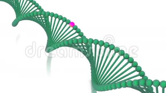 DNA基因3d视频的预览图
