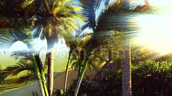 生长在热带丛林中的奇异植被视频的预览图