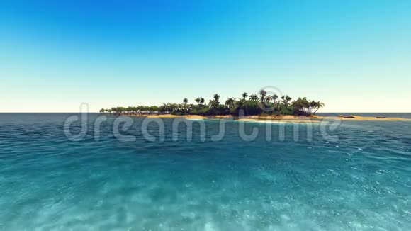 热带海滩上的棕榈3d渲染视频的预览图