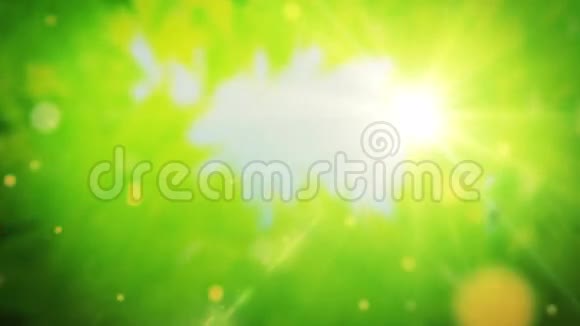 美丽的绿树叶透出阳光视频的预览图