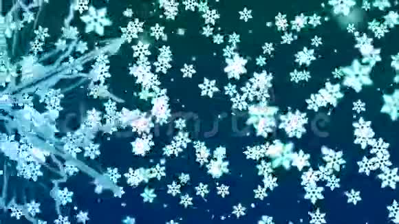 圣诞背景与美丽的雪花飘落视频的预览图