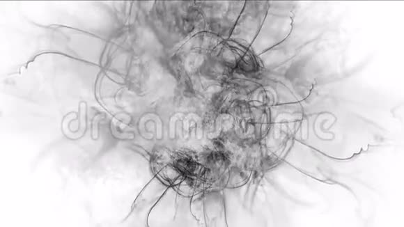 抽象云雾飞溅烟雾气体蒸汽烟花颗粒背景视频的预览图