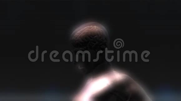 人类大脑动画视频的预览图