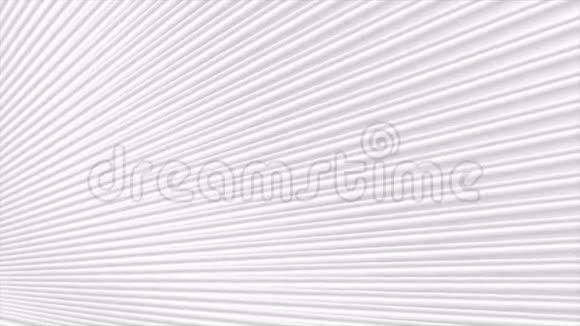 灰色白色条纹图案运动背景视频的预览图