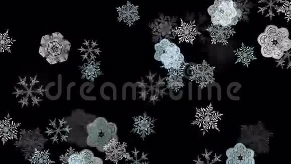 雪花秋天冬天的雪背景浪漫的圣诞粒子背景视频的预览图