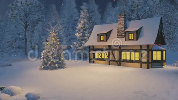 降雪之夜的照明屋和圣诞树视频的预览图