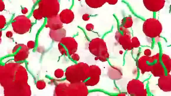 绿色和红色的抽象飞行碎片视频的预览图