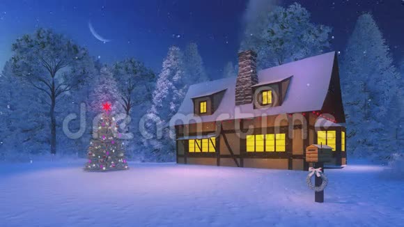 夜间照明圣诞树和乡村别墅视频的预览图