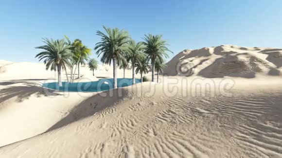 沙漠绿洲三维软件制作视频的预览图