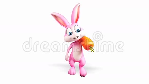兔子用胡萝卜走路视频的预览图