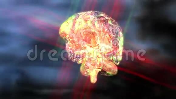 人类大脑的数字动画视频的预览图
