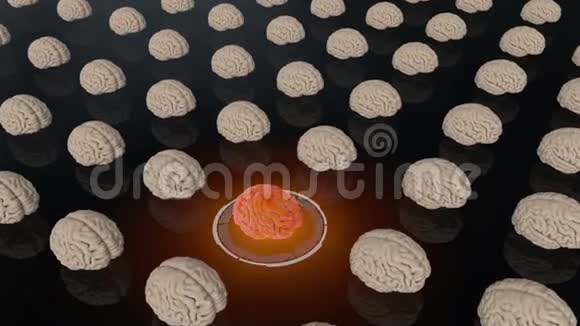 人类的大脑医学概念解剖未来视频的预览图