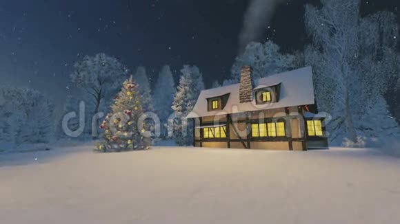 晚上的乡村别墅和圣诞树视频的预览图