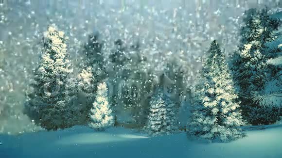 降雪之夜的云杉林视频的预览图