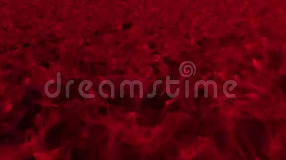 黑色暗红色背景视频的预览图