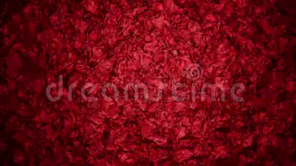暗红色的抽象背景视频的预览图