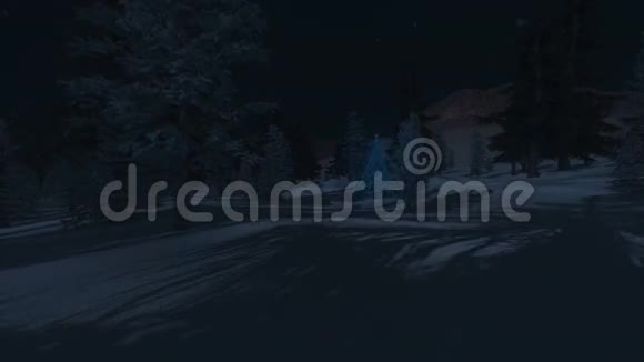 照亮了夜空中的圣诞树视频的预览图
