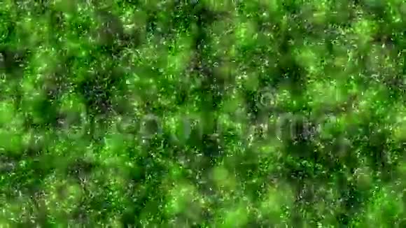绿色的抽象物质视频的预览图