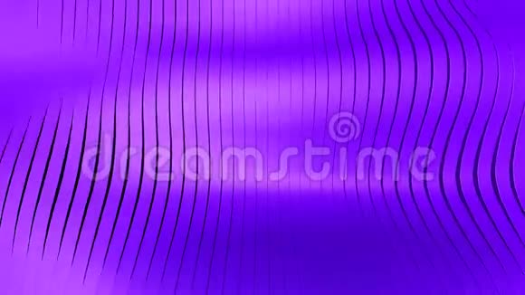紫色背景视频的预览图