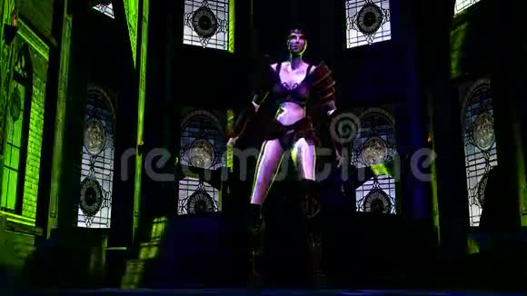女性幻想战士视频的预览图