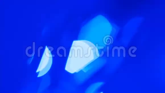 波克蓝光抽象背景视频的预览图