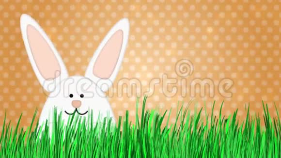 复活节兔子卡通插图广告空间视频的预览图