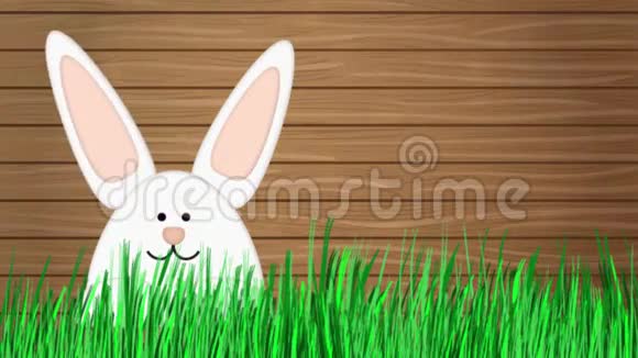 复活节兔子卡通插图广告空间视频的预览图