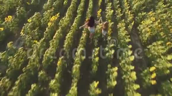 女人和女孩跑过向日葵的田野视频的预览图