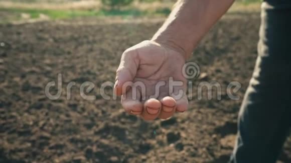 土地背景上农民手中的粮食小麦是从地里人的手指里倒出来的视频的预览图