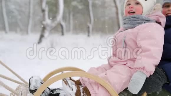 穿着粉红色连衣裙的男孩和小女孩在下雪的冬天滑雪父母在下雪时带着儿子和女儿拉雪橇视频的预览图