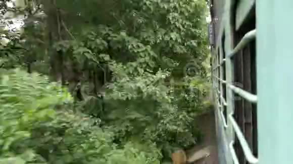 火车穿过森林印度热带森林视频的预览图