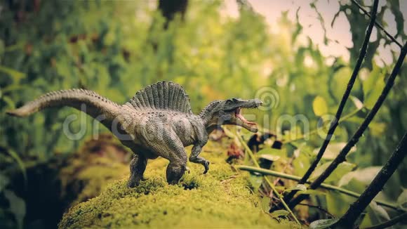 最大的食肉恐龙棘龙儿童玩具视频的预览图