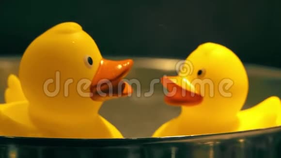 两只黄色的鸭子在热水里视频的预览图