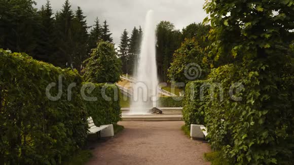 彼得霍夫的梅纳格喷泉视频的预览图