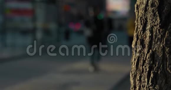 斯德哥尔摩人行道上行走模糊的慢镜头前景中阳光明媚的橡树视频的预览图