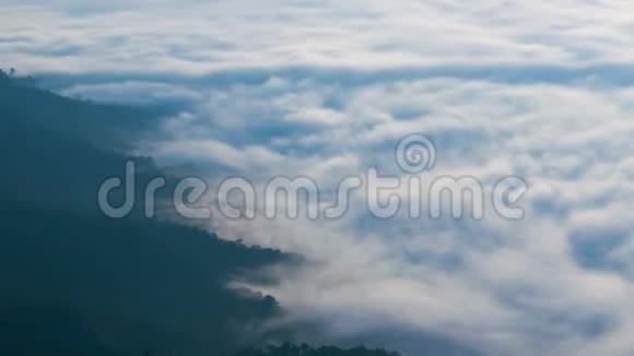 神秘的雾在森林上空移动时间流逝视频的预览图