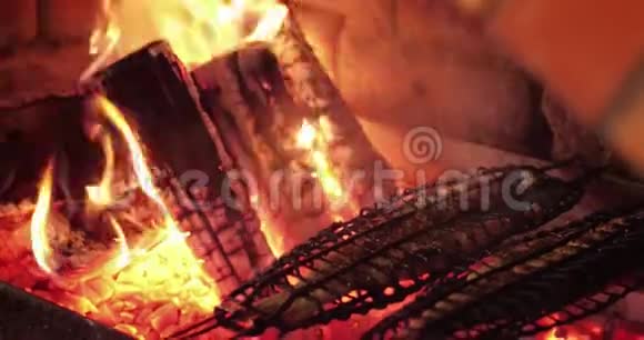 美丽的柴火在柴火炉中燃烧视频的预览图