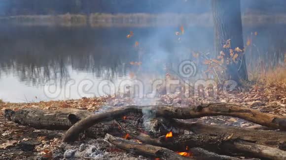 在秋天森林湖的岸边燃烧着篝火视频的预览图