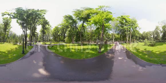 公园里有360只视频松鼠视频的预览图