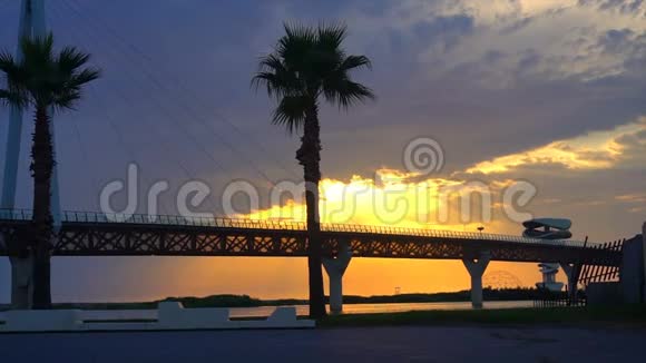 以棕榈树为背景背景和多用途的海景在美丽的日落天空中架起桥梁视频的预览图
